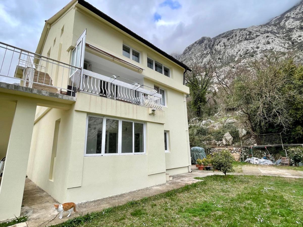 Apartments Lav Kotor Exteriér fotografie